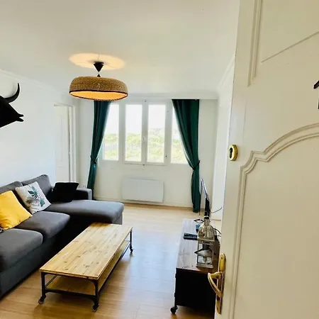 Cocoon - Face - Apartment